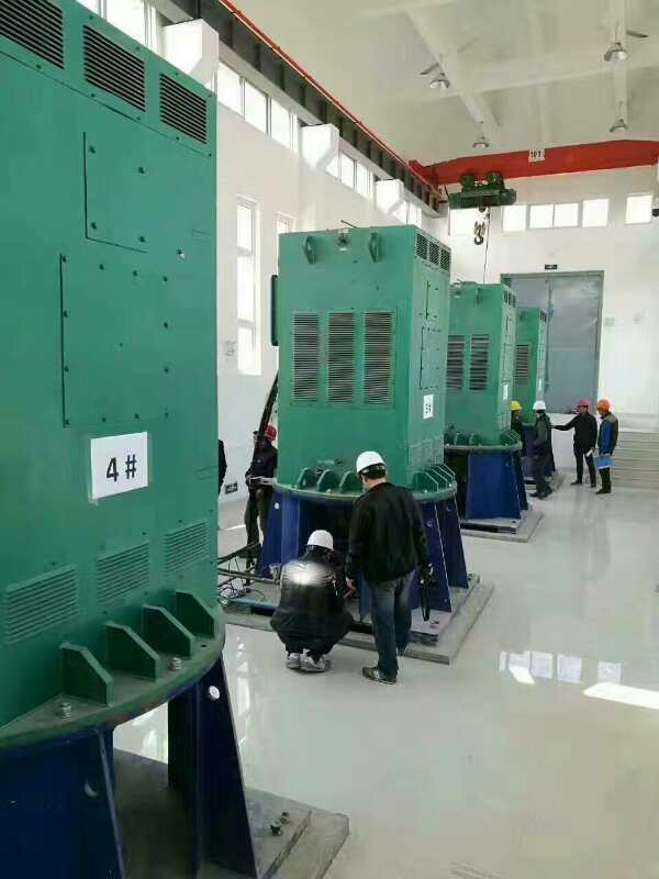 YRKK7104-4某污水处理厂使用我厂的立式高压电机安装现场
