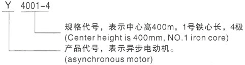 西安泰富西玛Y系列(H355-1000)高压YRKK7104-4三相异步电机型号说明